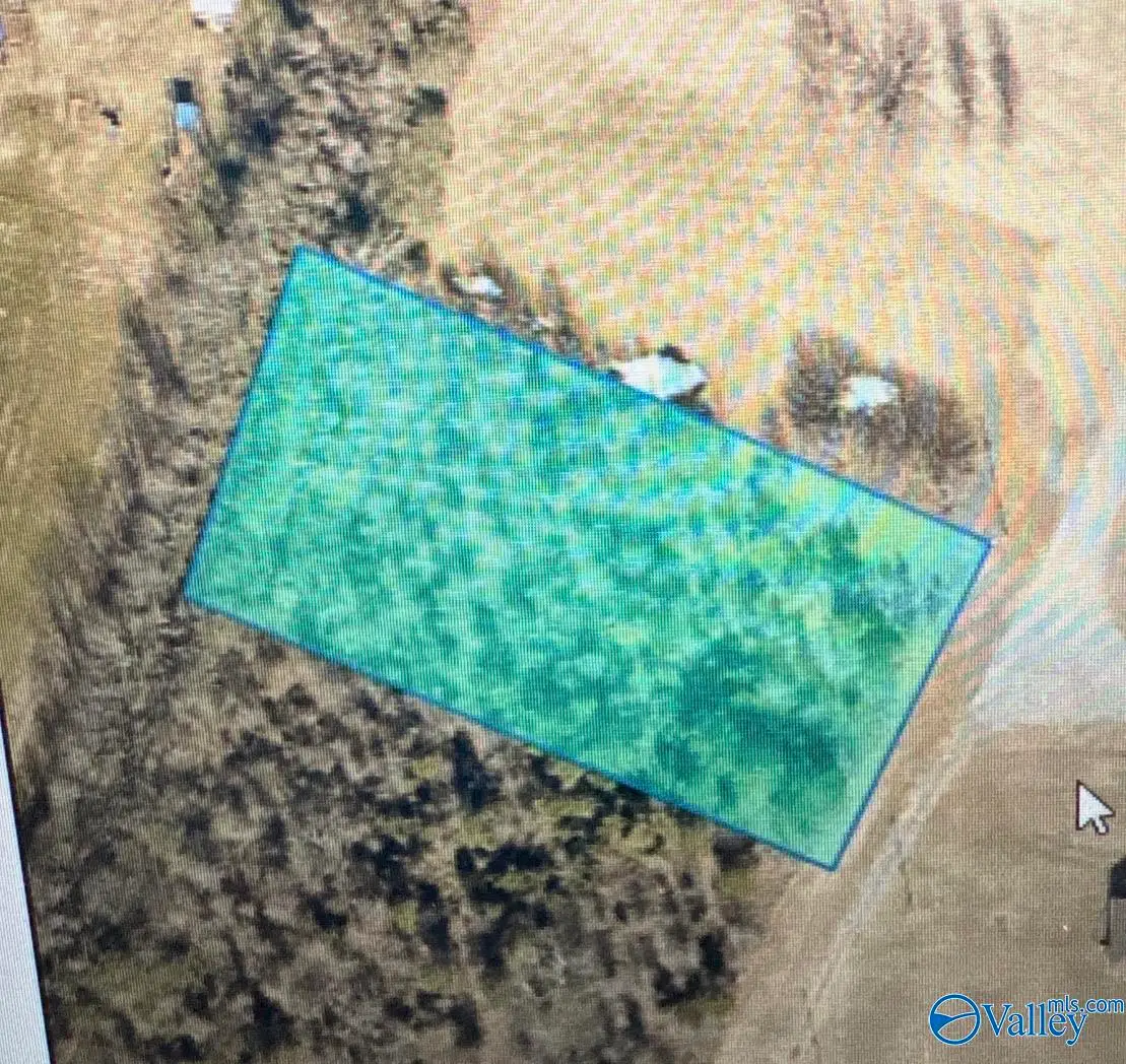 LOT 1 Croom Circle, Leighton, AL 35646 - #1