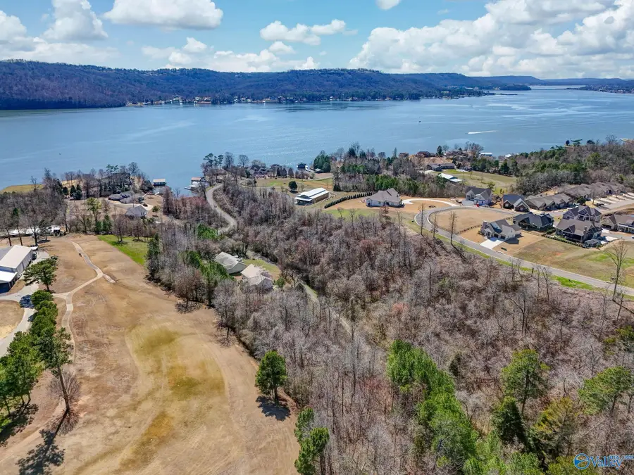 Lot 4 Earl Caldwell Drive, Guntersville, AL 35976 - #2