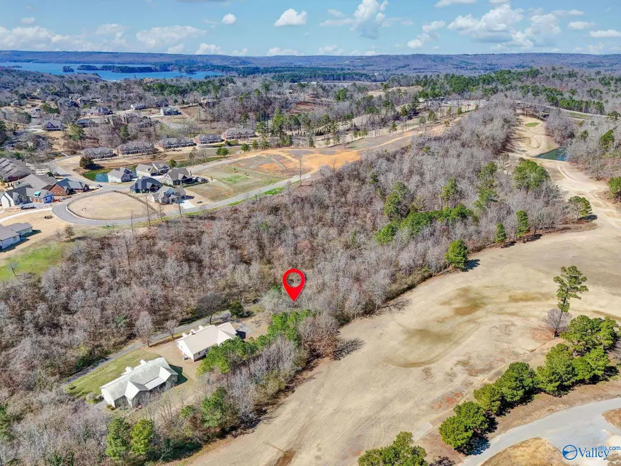 Lot 4 Earl Caldwell Drive, Guntersville, AL 35976 - #3
