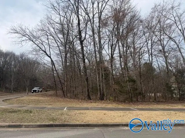 716 Marina Park Drive Se, Huntsville, AL 35803 - #3