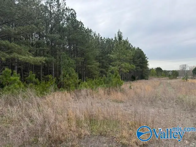 90 County Road 153, Fort Payne, AL 35967 - #1