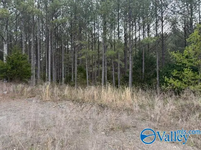 90 County Road 153, Fort Payne, AL 35967 - #3