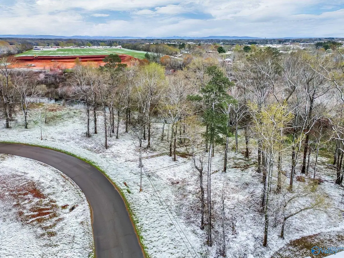 134 Easy Street Nw, Hazel Green, AL 35750 - #1