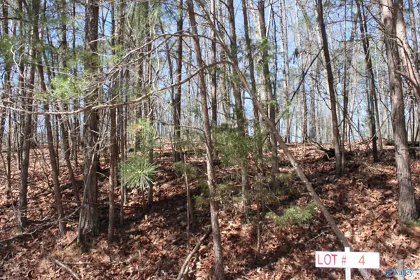 Lot 4 Hickory Lane, Fort Payne, AL 35989