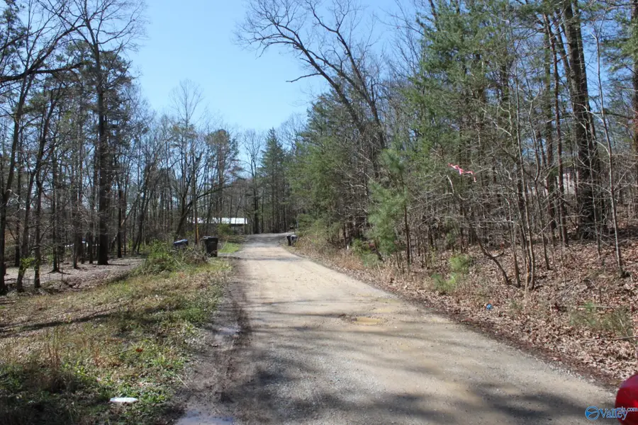 Lot 4 Hickory Lane, Hammondville, AL 35989 - #2