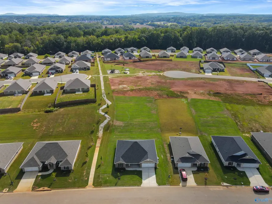 14199 Wildflower Drive, Harvest, AL 35749 - #3