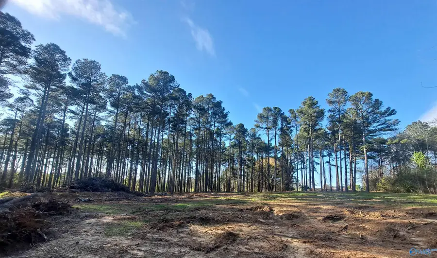 3.02 Laura Avenue, Albertville, AL 35951 - #2