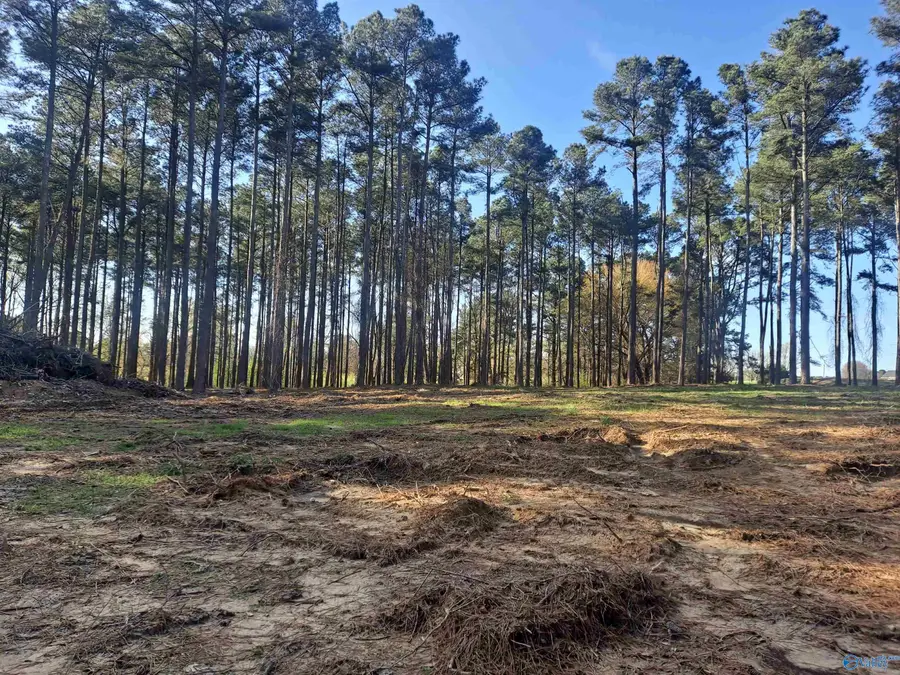 3.02 Laura Avenue, Albertville, AL 35951 - #3