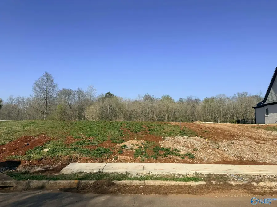 24044 Piney Creek Drive, Athens, AL 35613 - #2