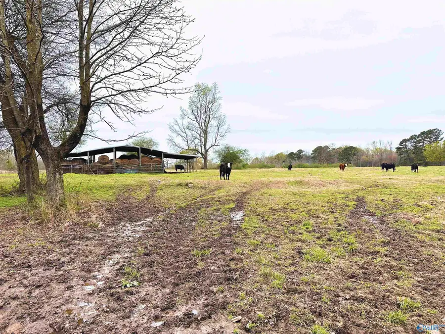 40 acres Askea Grove Lane, Arab, AL 35016 - #2