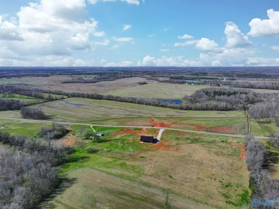 60+/- acres County Road 460, Mount Hope, AL 35651 - #3