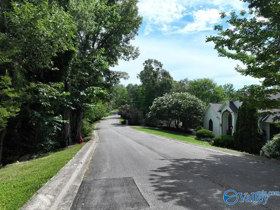 1.09 Acres South Ridge Road, Rainbow City, AL 35906 - #3