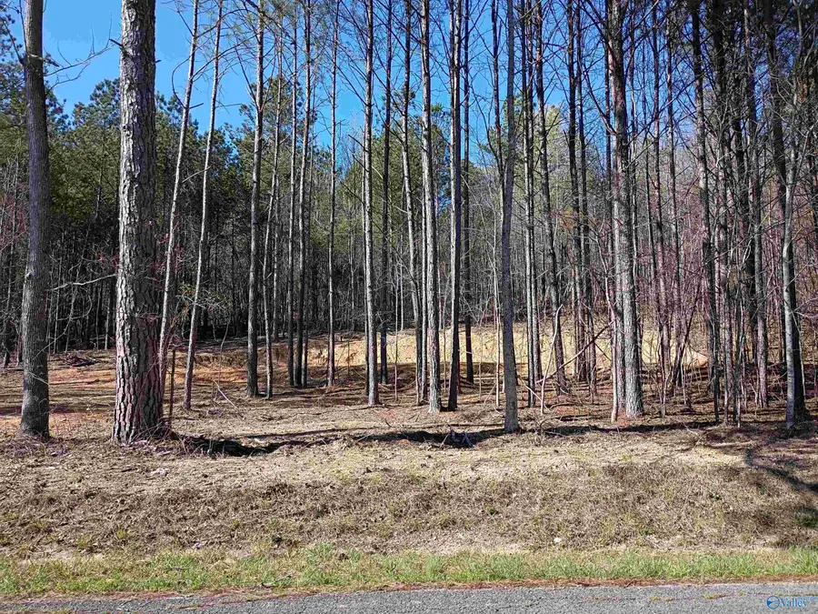 149 County Road 686, Cedar Bluff, AL 35959 - #2