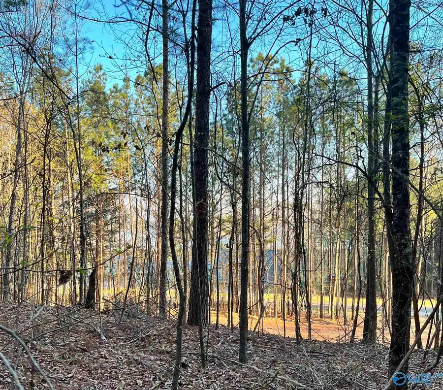 149 County Road 686, Cedar Bluff, AL 35959 - #3