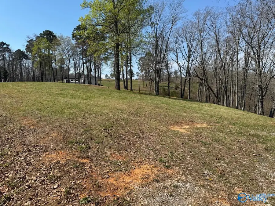302 Mccorkle Mountain Road, Scottsboro, AL 35769 - #3