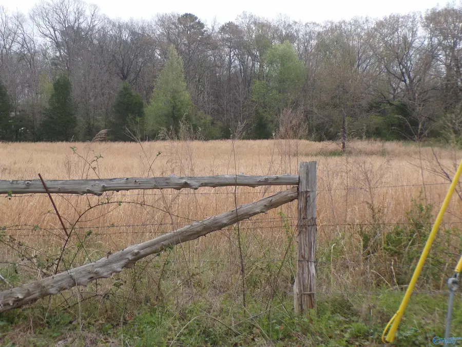 4.4 Acres, Moulton, AL 35650 - #2