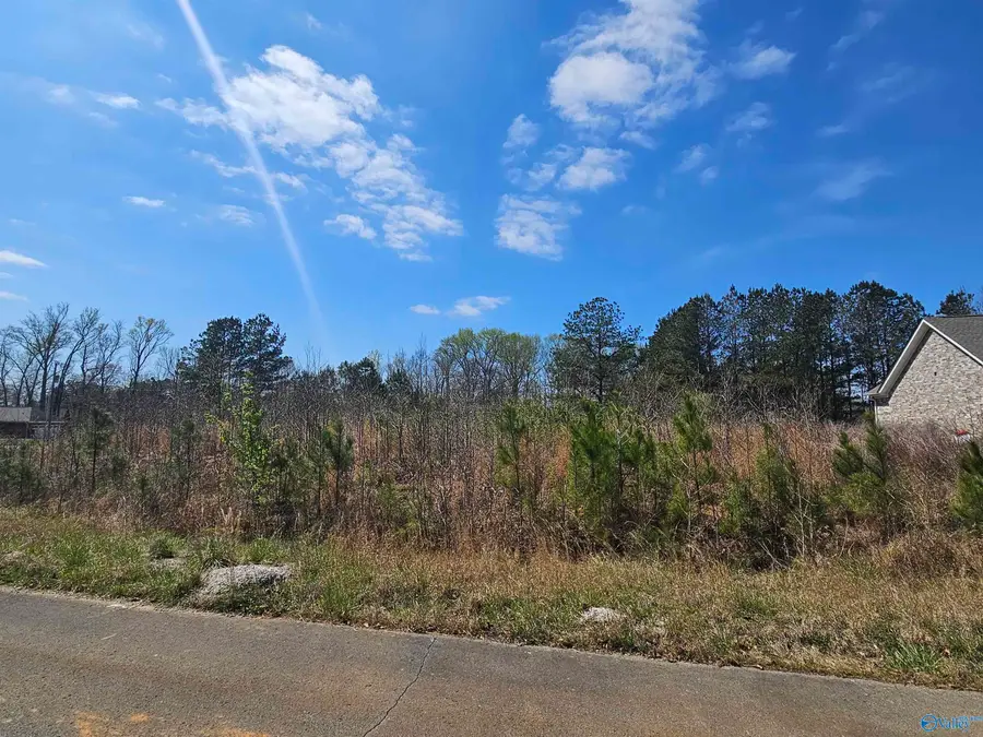 Lot 37 Southern Pine Drive, Toney, AL 35773 - #3