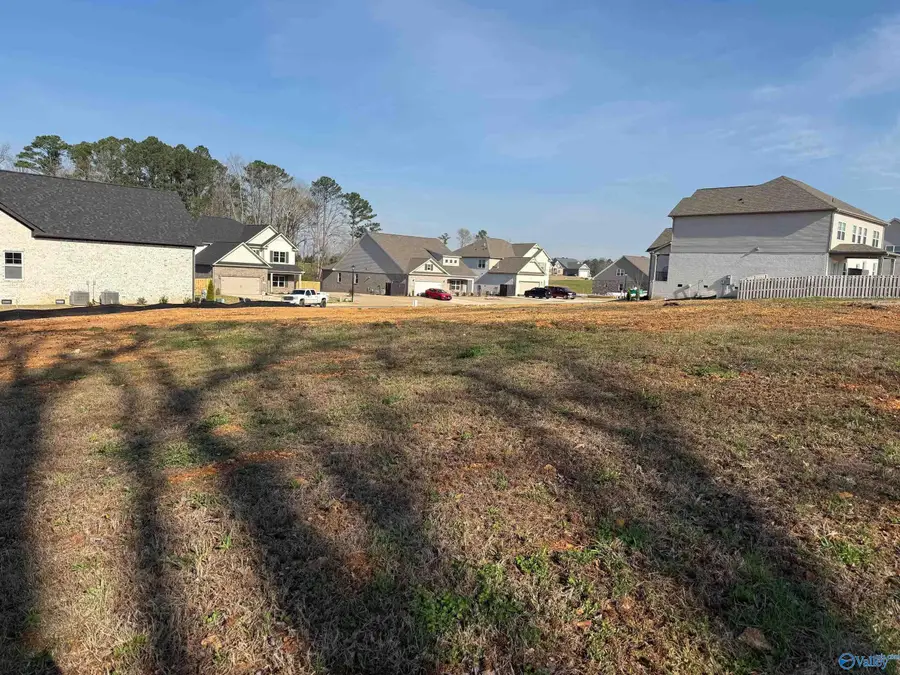 101 Ayers Spring Road, New Market, AL 35761 - #3