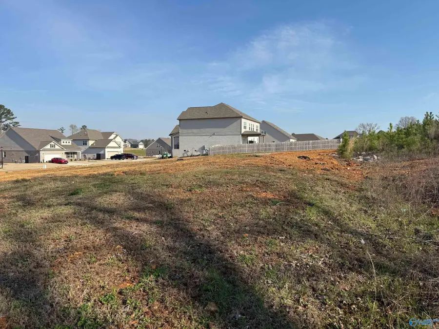 105 Ayers Spring Road, New Market, AL 35761 - #2