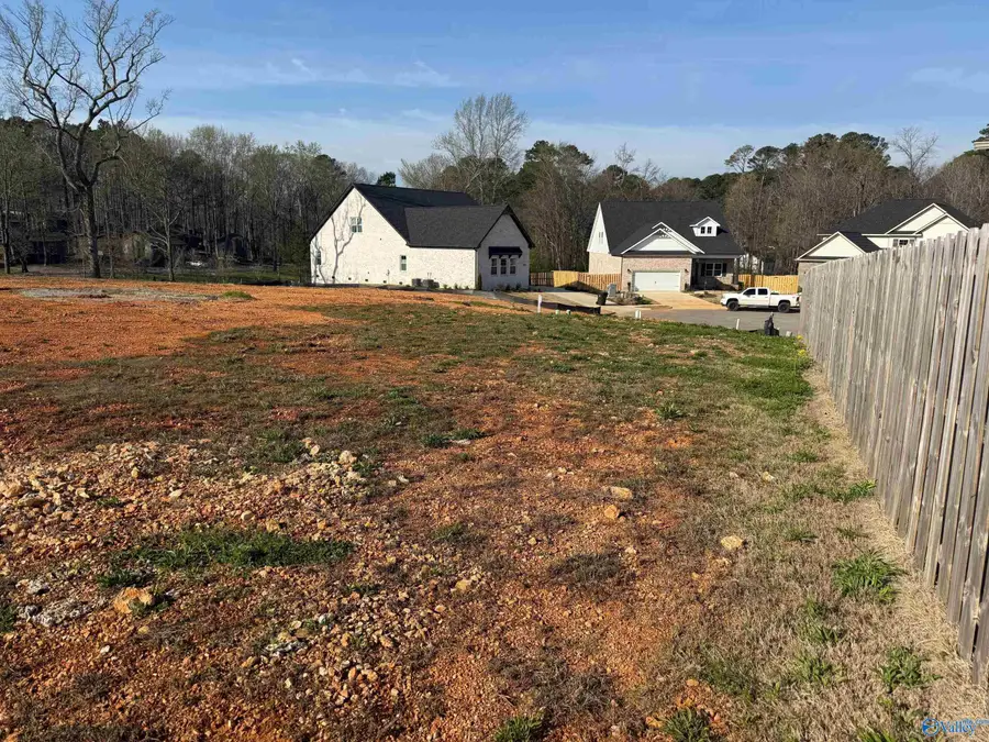 105 Ayers Spring Road, New Market, AL 35761 - #3