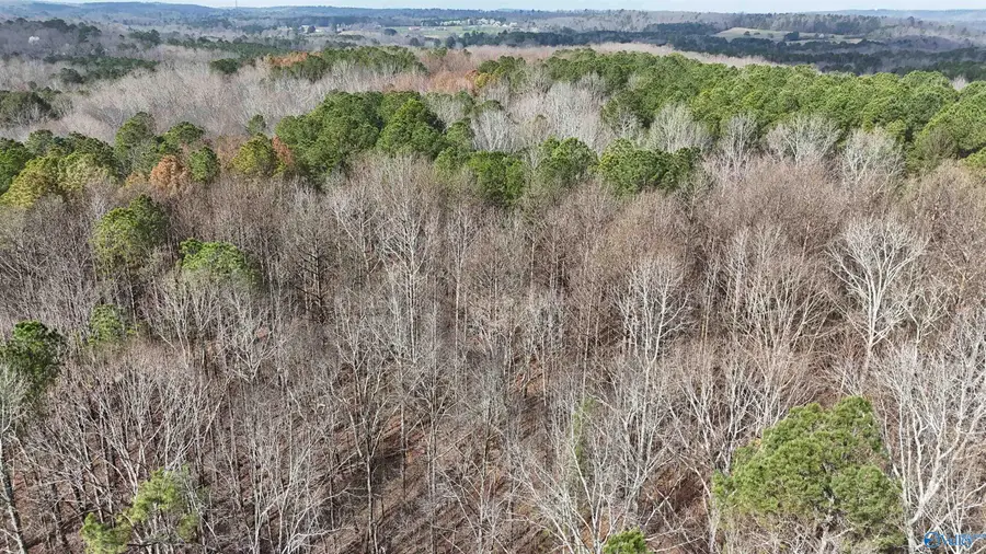 002 Toney Drive, Altoona, AL 35952 - #2