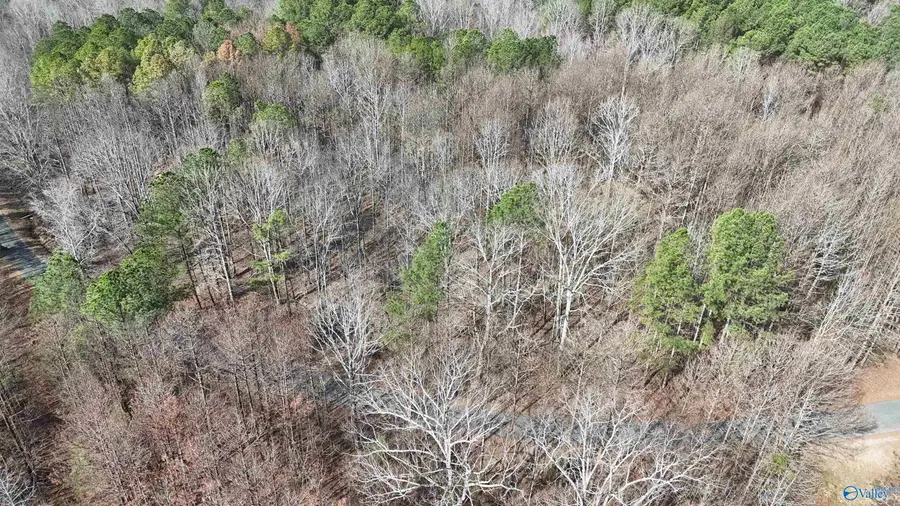 002 Toney Drive, Altoona, AL 35952 - #3