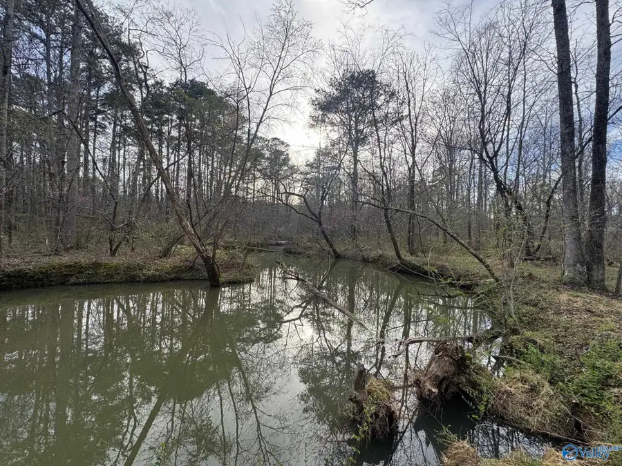 690 County Road 249, Leesburg, AL 35983 - #2