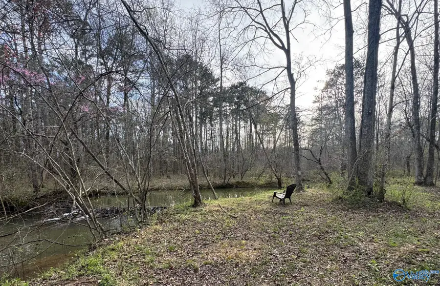690 County Road 249, Leesburg, AL 35983 - #3