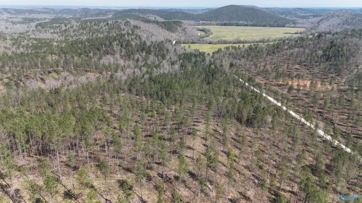 12 County Road 175, Piedmont, AL 36272 - #1