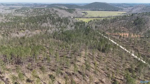 12 County Road 175, Piedmont, AL 36272