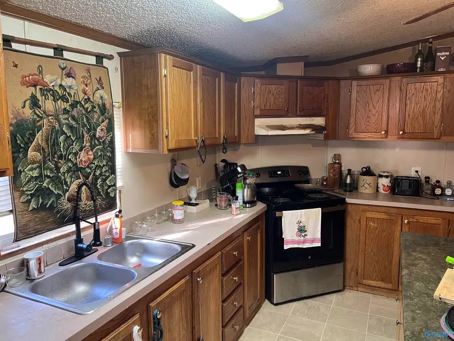 701 Cemetary Road, Holly Pond, AL 35803 - #2