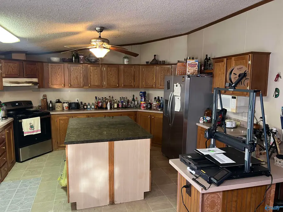 701 Cemetary Road, Holly Pond, AL 35803 - #3