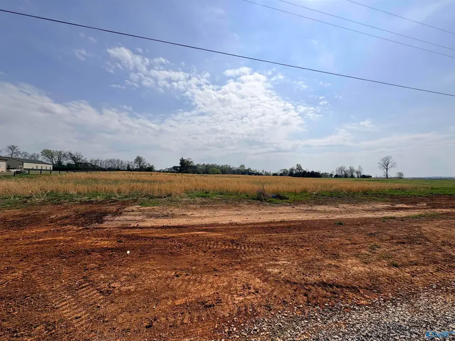 23678 Old Homeplace Way, Athens, AL 35613 - #3