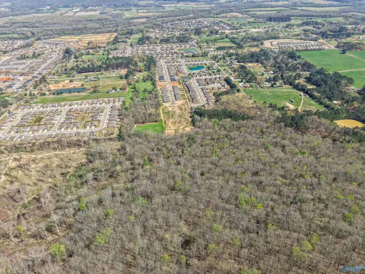 15 Acres Feather Way, New Hope, AL 35763 - #1