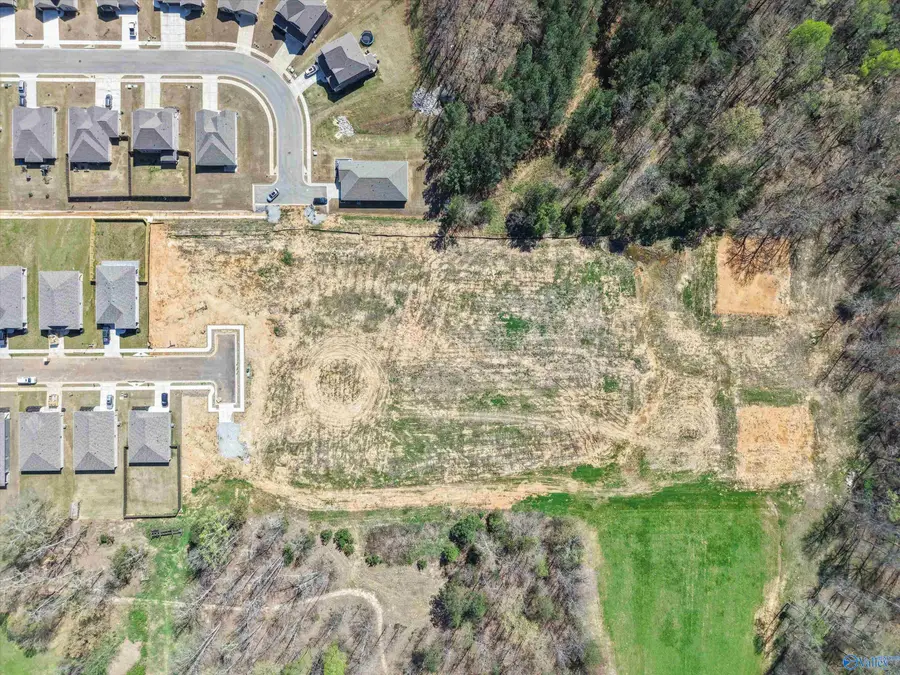15 Acres Feather Way, New Hope, AL 35763 - #3