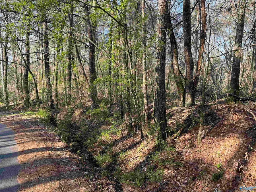 Lot 1 & Pt of 2 Halsey Street, Gadsden, AL 35901 - #3