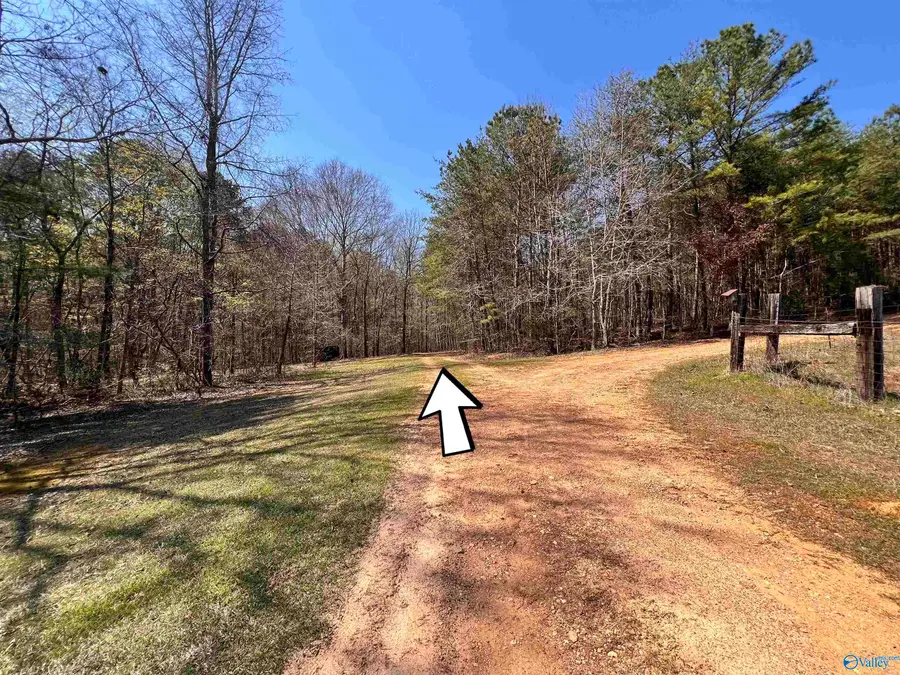 163 Acres Duck Springs Road, Attalla, AL 35954 - #2