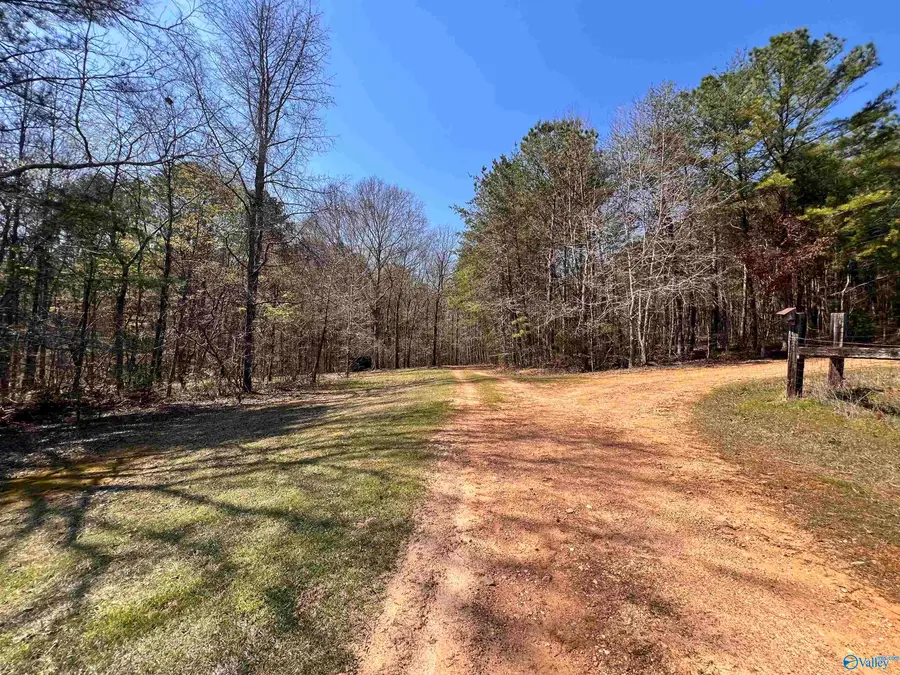 163 Acres Duck Springs Road, Attalla, AL 35954 - #3