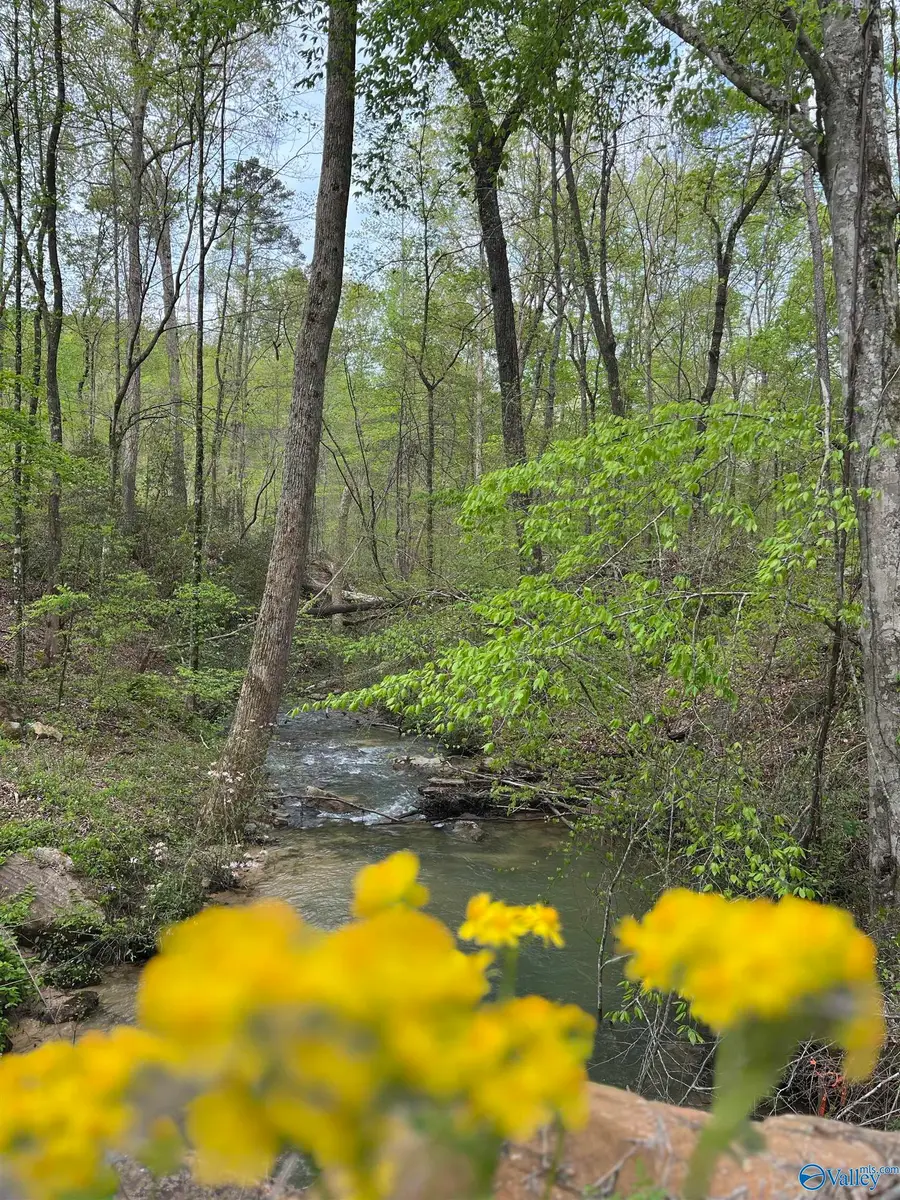 LOT 10/11 Wyeth Drive, Guntersville, AL 35976 - #2