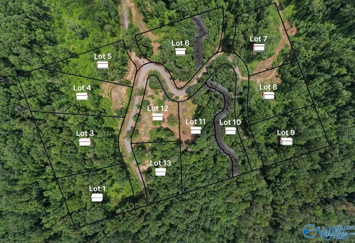 LOT 8 Wyeth Drive, Guntersville, AL 35976 - #1