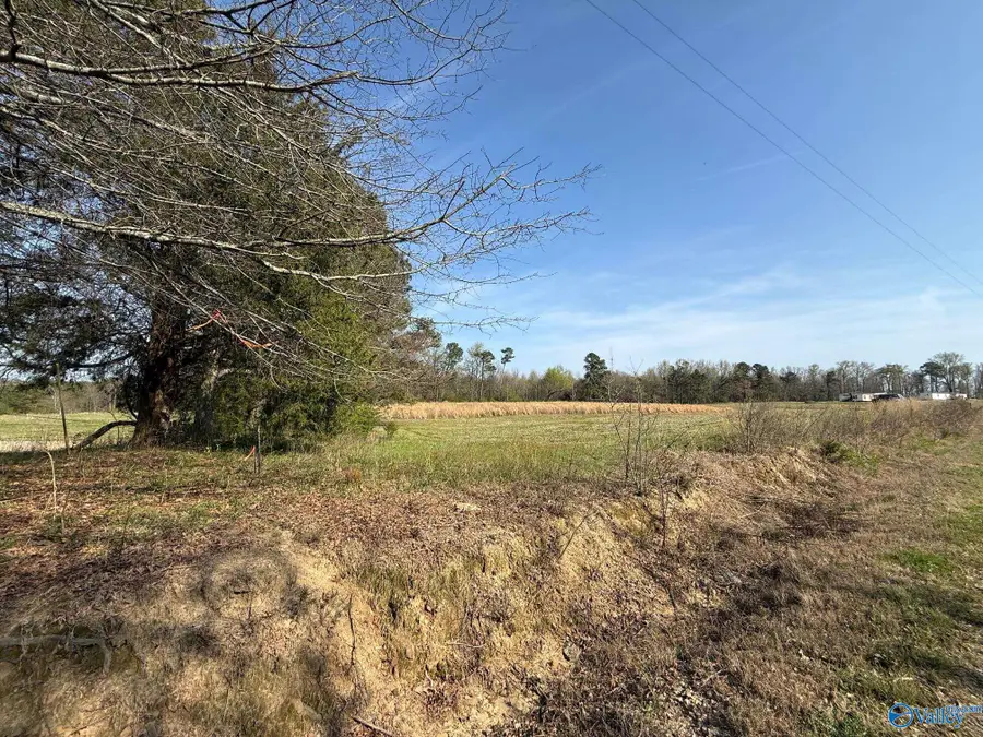 Lot 8 County Road 318, Dawson, AL 35963 - #3