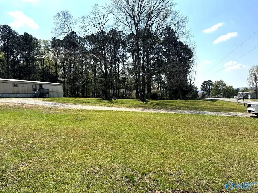 993 Albert Mann Road, New Hope, AL 35760 - #3