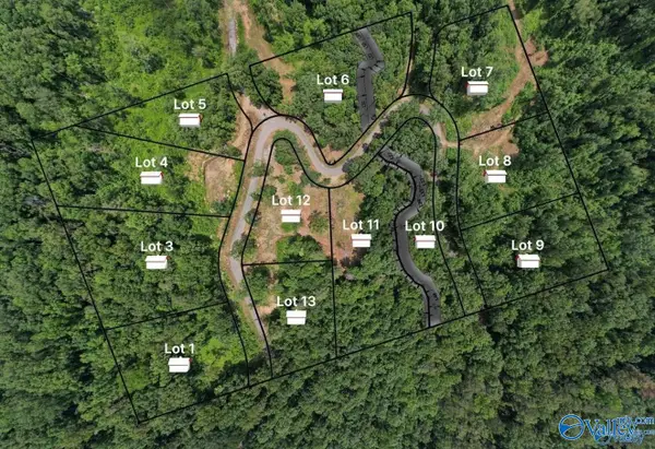 LOT 1 Wyeth Drive, Guntersville, AL 35976