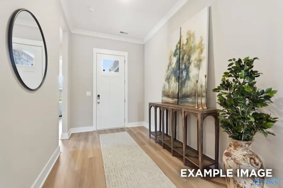 7519 Speckle Belly Boulevard, Owens Cross Roads, AL 35763 - #3