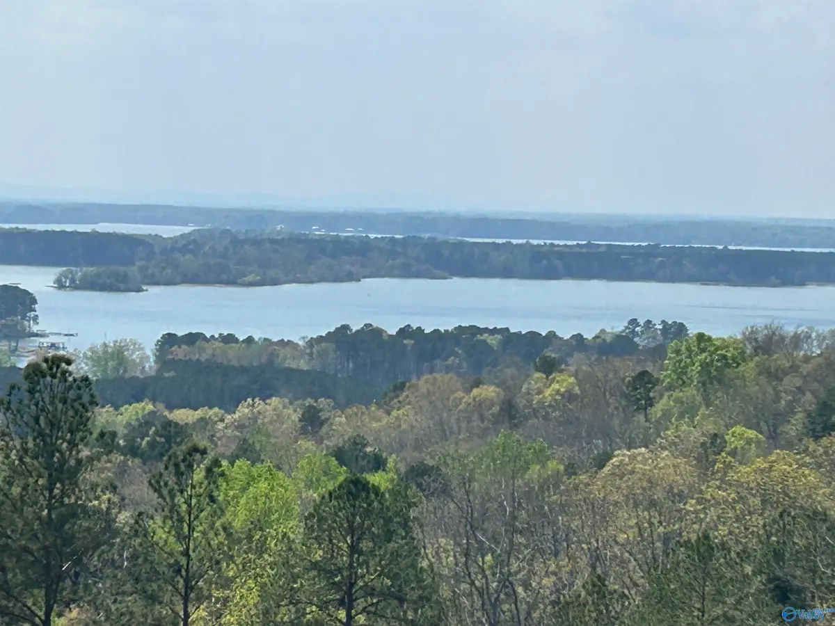 Lot 41 County Road 767, Cedar Bluff, AL 35959 - #1