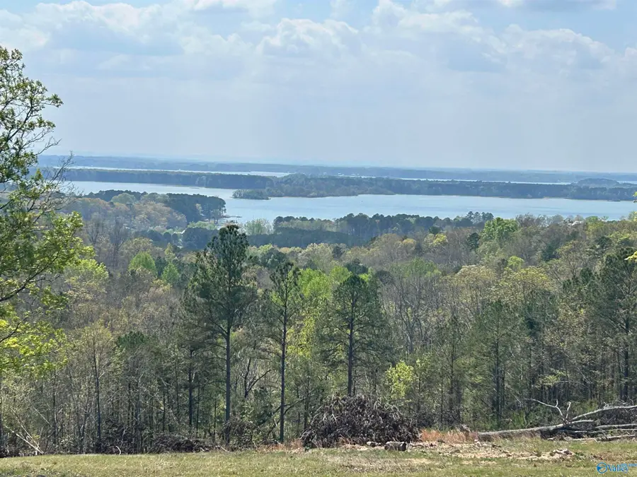 Lot 41 County Road 767, Cedar Bluff, AL 35959 - #2
