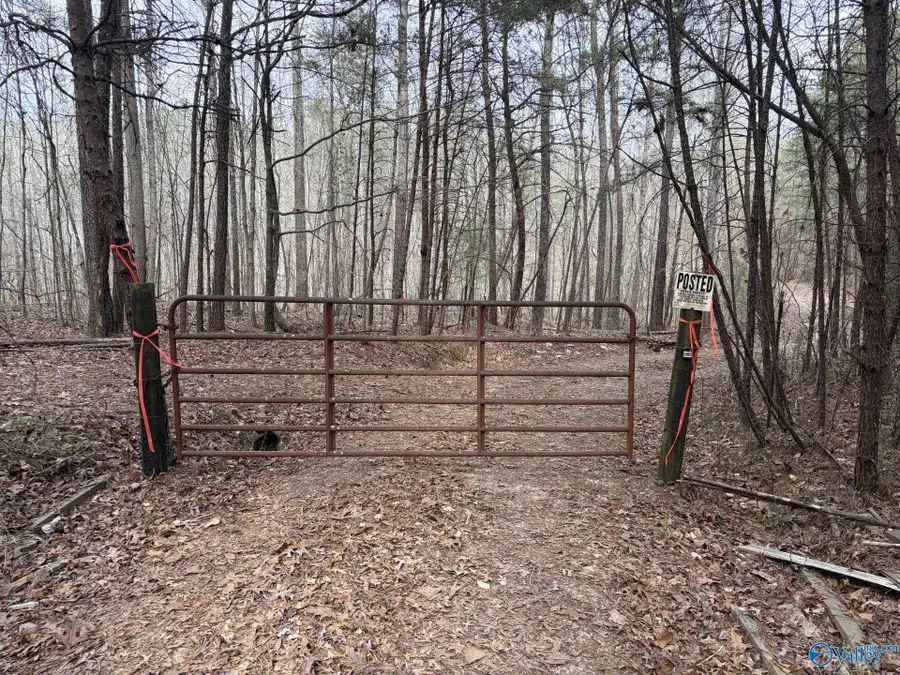 40ac County Road 3914, Arley, AL 35541 - #2