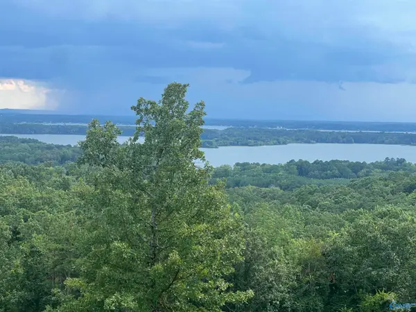 Lot 40 County Road 767, Cedar Bluff, AL 35959