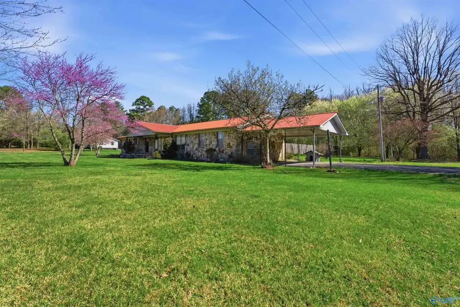 132 County Road 58, Pisgah, AL 35765 - #3