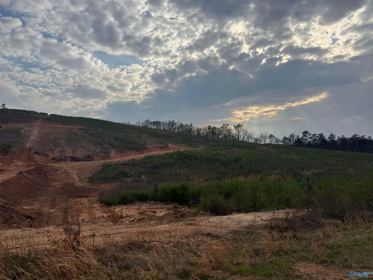 18+\- acres County Road 6, Piedmont, AL 36272 - #1